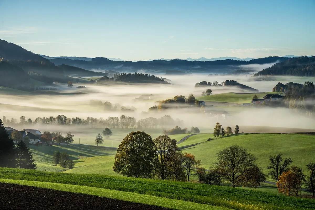 Fog vs Mist vs Haze: A Photographer's Comparison Guide