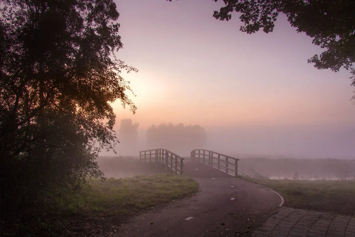 How to Read Fog Patches on Your Morning Commute: A Beginner's Guide