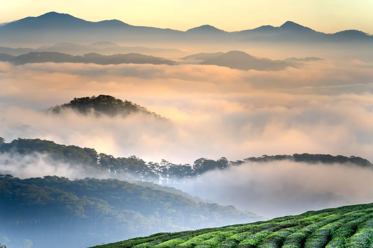 Why Fog Forms in Valleys: A Simple Explainer for UK Walkers